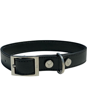 Shop Shaya Pets Leather Adjustable & Water Resistant Dog Collar In Black