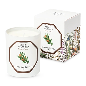 Shop Carriere Freres Cedar Scented Candle, 6.5 Oz.
