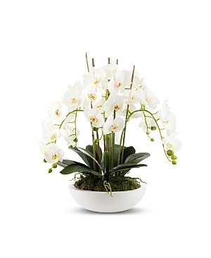 Cocobella Terra Orchid Arrangement In White