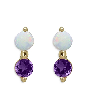 Moon & Meadow 14k Yellow Gold Opal & Amethyst Stud Earrings In Purple