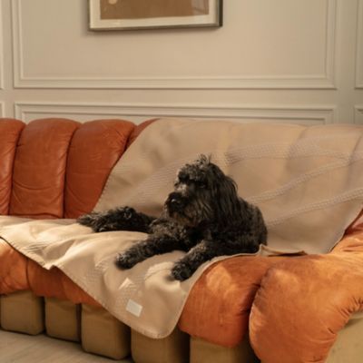 Brigette Romanek Luxury Pet Blanket