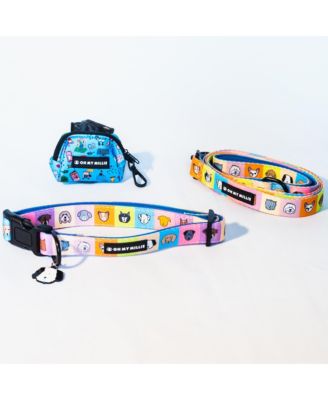 Happy Walking Dog Leash