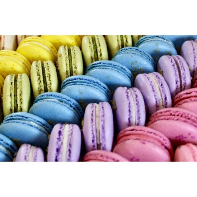 10 Pc. Rainbow French Macarons