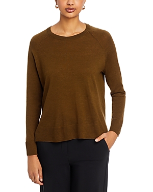 Eileen Fisher Raglan Sleeve Merino Wool Pullover In Serpentine