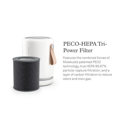 Air Mini+ with PECO-HEPA Tri Power Filter Air Purifier