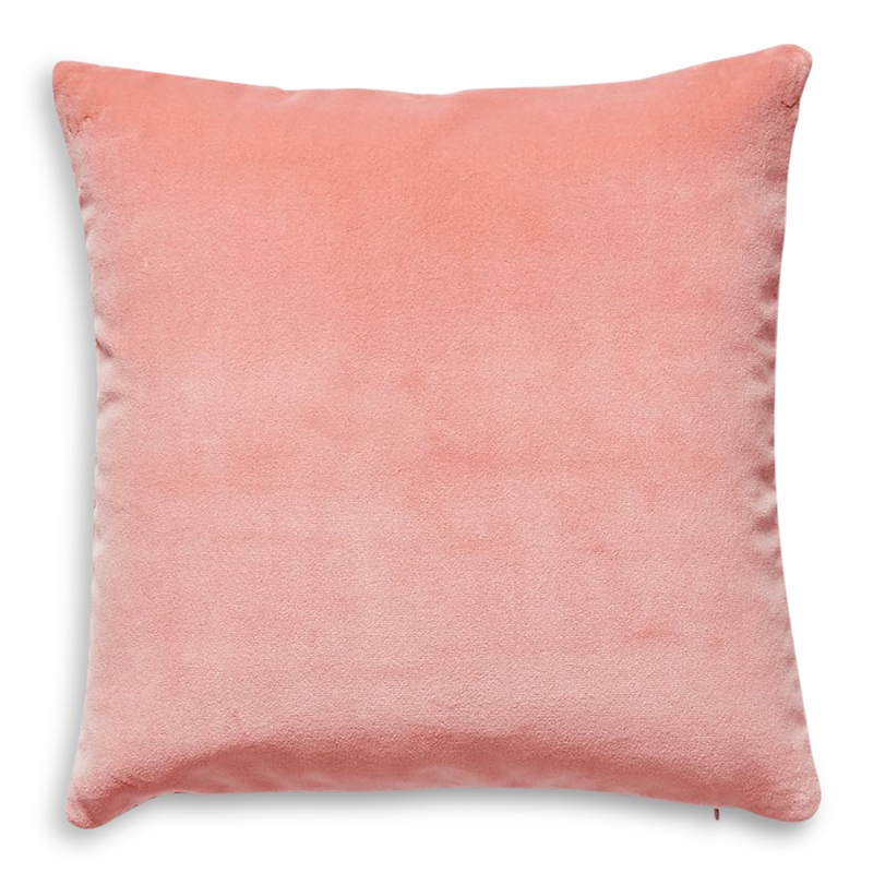 Scalamandre Torino Velvet Decorative Pillow, 22 X 22