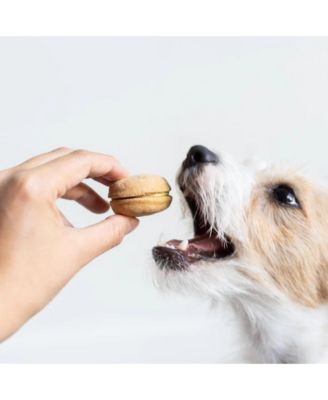 Vanilla Dog Macarons, 6 Count