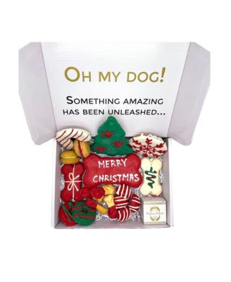 Christmas Themed Dog Treats Gift Box