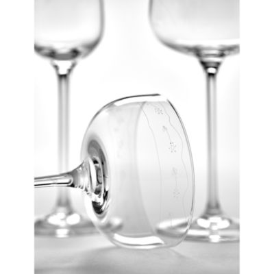 Champagne Coupe Anemone Vaniglia Midnight Flowers by Marni