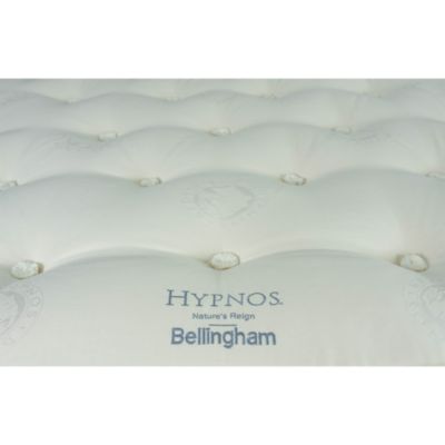 Nature's Reign Bellingham Plush Euro Top Mattress  – Exclusive