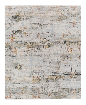 Shop Surya Laila Laa-2300 Area Rug, 7'10 X 10'3 In Gray/blue