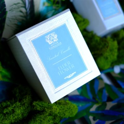 Elderflower Hexagonal Candle, 9 oz.