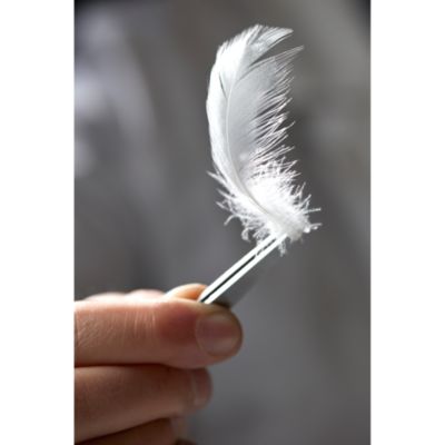 Cortina Down Comforter