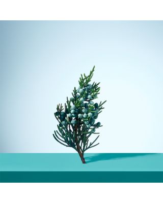 Tiffany & Love for Him Eau de Toilette 3 oz.