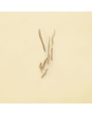 The Alchemist's Garden Love at your Darkest Eau de Parfum 3.3 oz.