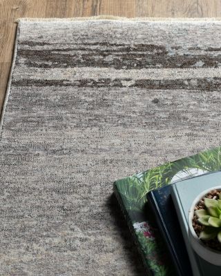 Hayden HAY07 Area Rug, 3'3" x 5'