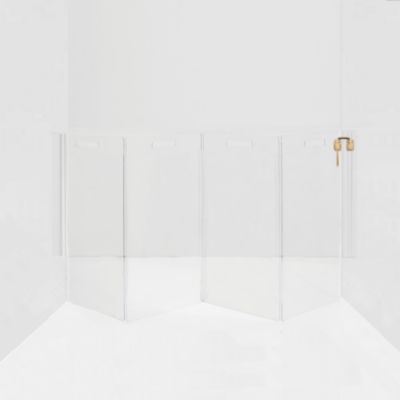 Wall Mounted Clear Pet Gate Zig Zag , 4 Panel