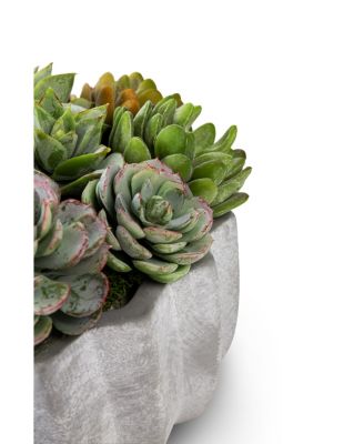 Madison Pleated Ceramic Succulent Arrangement
