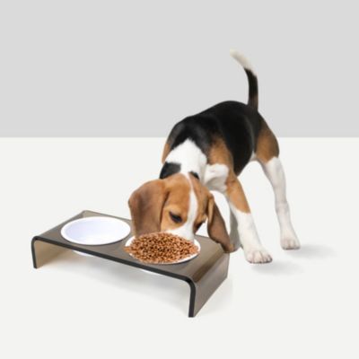 Small Bronze Pet Feeder, 1 Pint Bowls