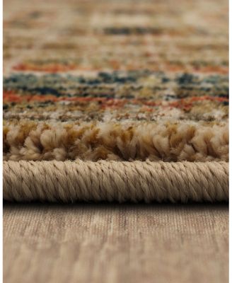 Karastan Spice Market Koyna Area Rug Collection