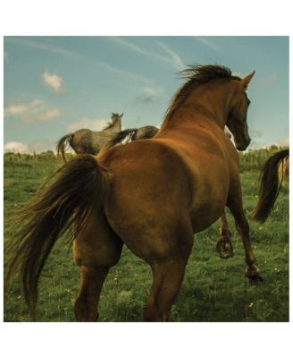 Irish Leather Eau de Parfum 6.8 oz.