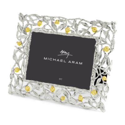 Pomegranate Silver & Gold Frame, 5" x 7"