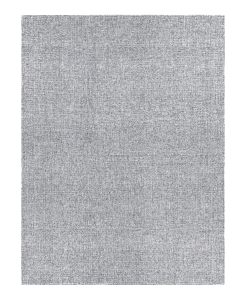 Exquisite Rugs Caprice 4764 Area Rug, 6' x 9'