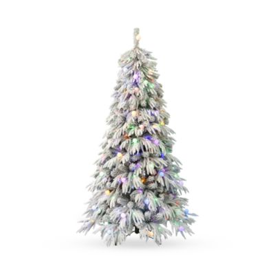 Seasonal LLC - Frosted Acadia 6.5' Full Tree with LED Lights
