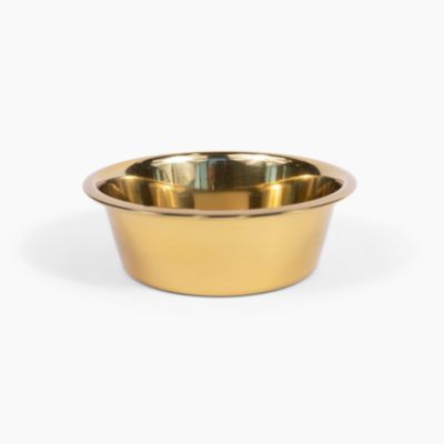 Clear Single Pet Bowl Feeder