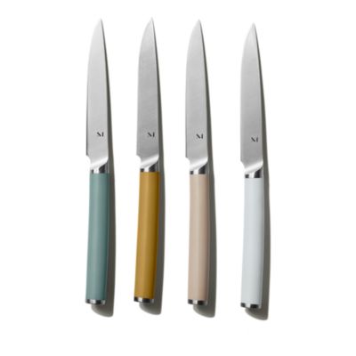 Matte Stainless Steel Set of 4 Table Knives and Holder
