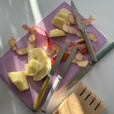 Matte Stainless Steel Set of 4 Table Knives and Holder