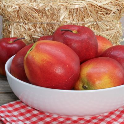 Porcelain Whatever Serving Bowls, Set of 2 