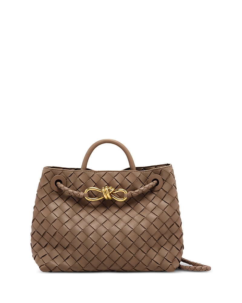 Bottega Veneta Small Leather Andiamo Shoulder Bag In Pinecone-m B-pinec