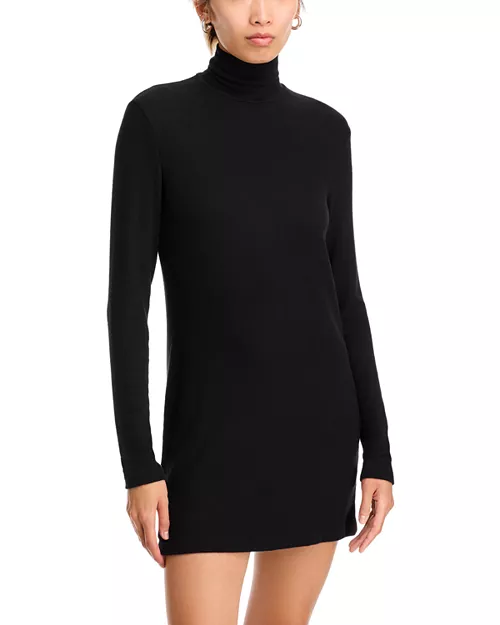 lauren turtleneck dress
