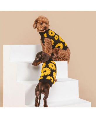 PETITE Shaya Pets Sunflower Embellished