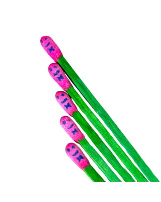 The Match Bouquet Safety Matches and Holder