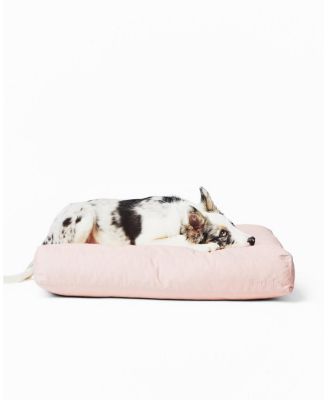 Signature Bed - Small