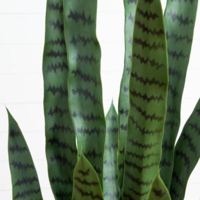 4' UV Resistant Artificial Sansevieria Plant in White Decorative Planter (Indoor/Outdoor)