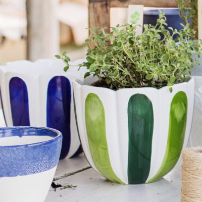 Viva Garden Tulip Large Cachepot