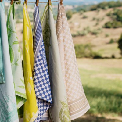 Strofinaccio Dish Towels, Set of 2