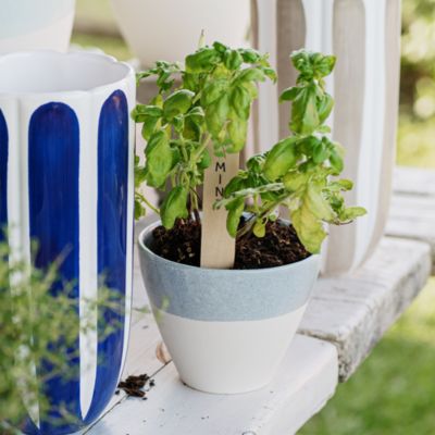 Viva Garden Reactive Small Cachepot