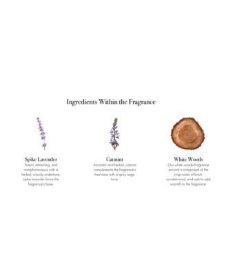 Spike Lavender Signature Candle, 15.5 oz.