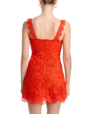 Trina Lace Dress