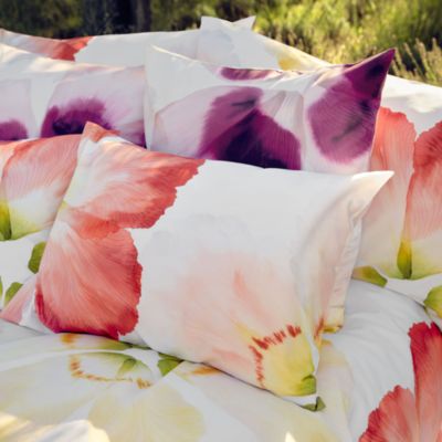 Aurora Blanc Sham, Euro