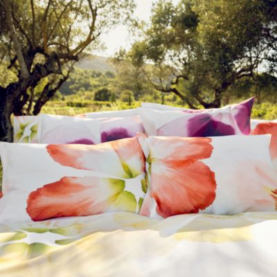 Aurora Blanc Sham, Euro