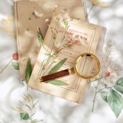 Zinnia Blanc Sham, Boudoir