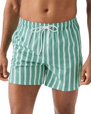 Striped Swim Shorts