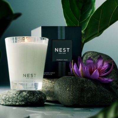 Forest Rain Classic Candle, 8.1 oz.