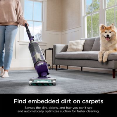 POWERDETECT Upright Bagless Vacuum With Ultimate Cleaning Tools