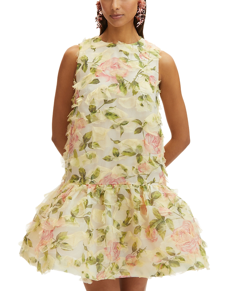 Oscar De La Renta English Rose Fil Coup Dress In Pink/ivory